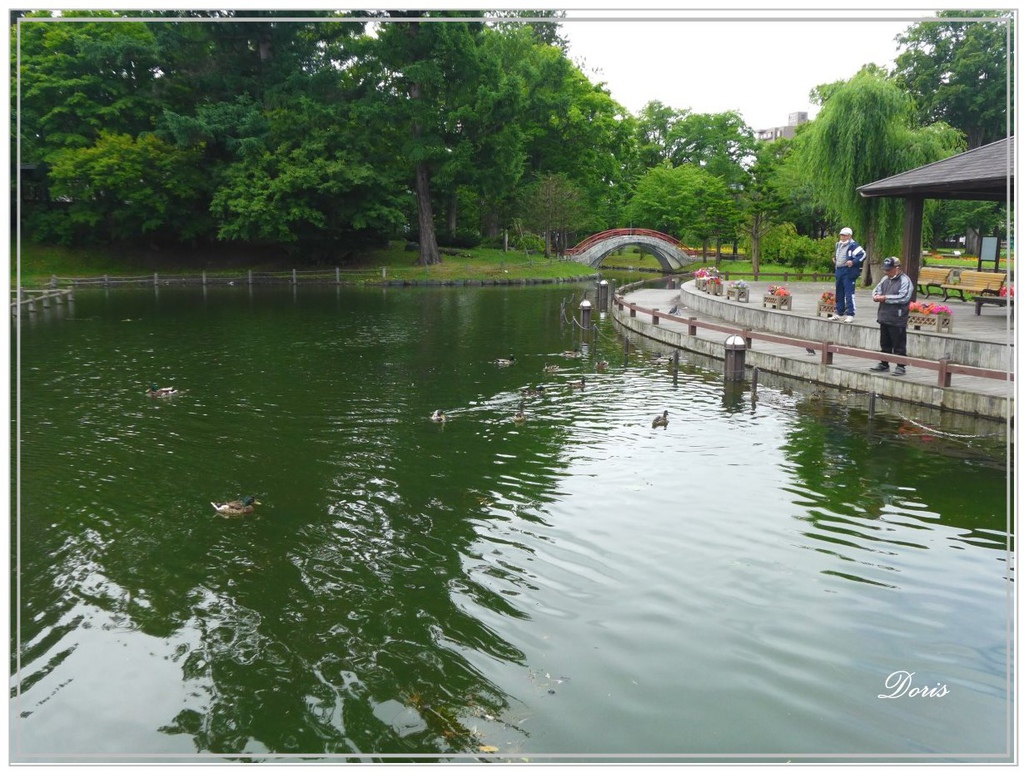 北海道夏日小旅行 15 旭川常磐公園 兔媽的生活樂趣 痞客邦 北海道夏日小旅行 15 旭川常磐公園 兔媽的生活樂趣 痞客邦