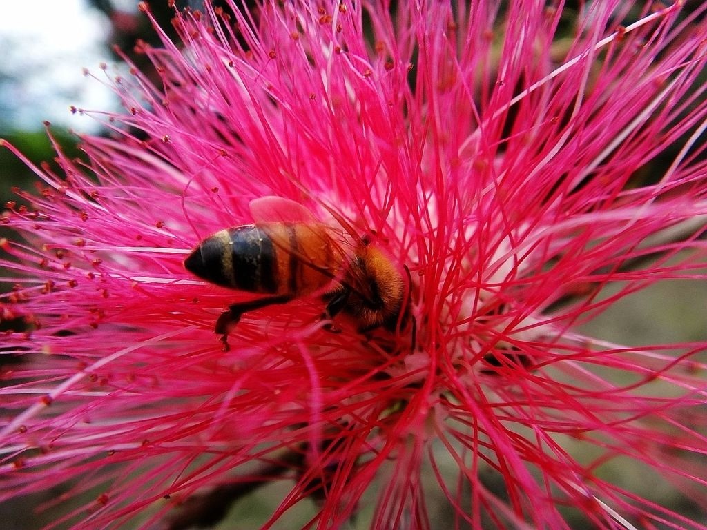 f_10392689_1.JPG