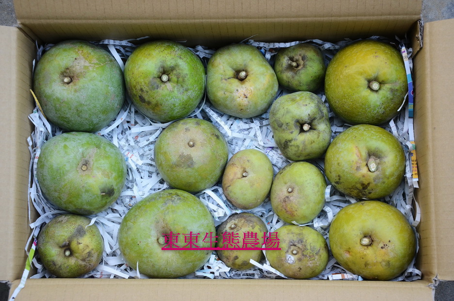 白柿似品種包裝 白柿似品種包裝