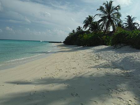 2014 10 31 Velassaru Maldives  (213).JPG