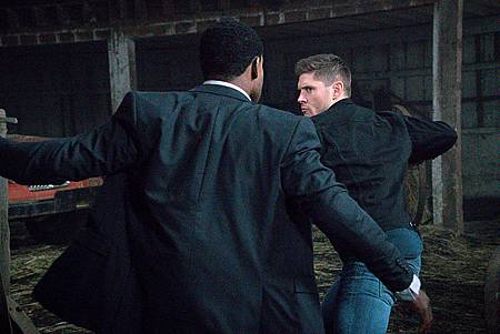 SPN 10x20-13.jpg