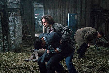 SPN 10x20-15.jpg