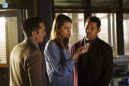 Castle7x21(9).jpg