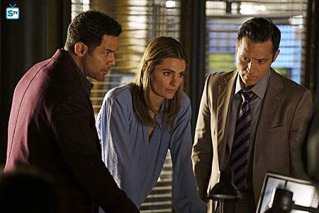 Castle7x21(17).jpg