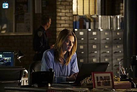 Castle7x21(18).jpg