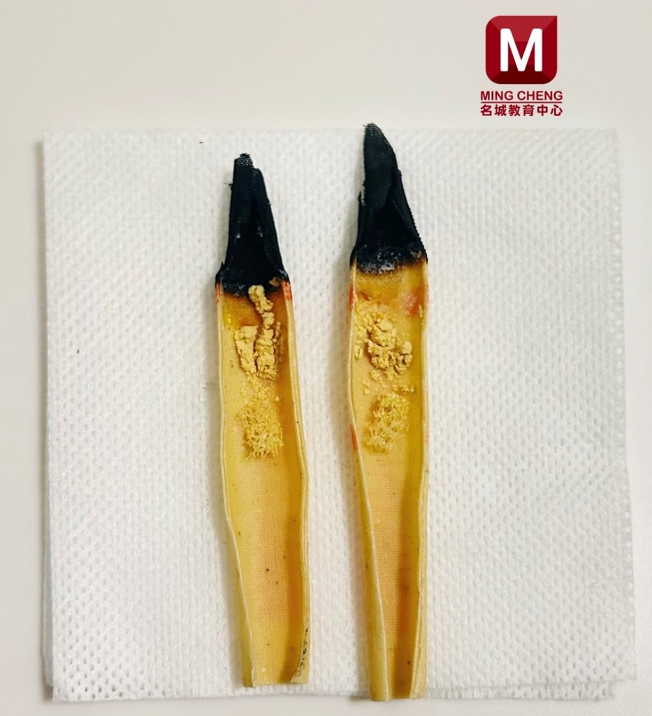 「耳燭顱內淨化課程」✨