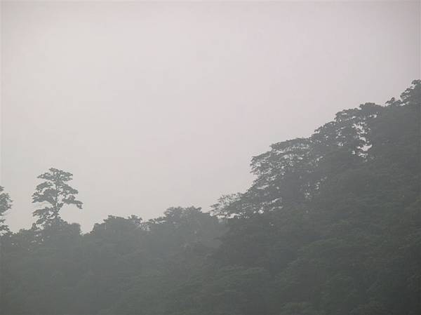霧霧的天空.JPG