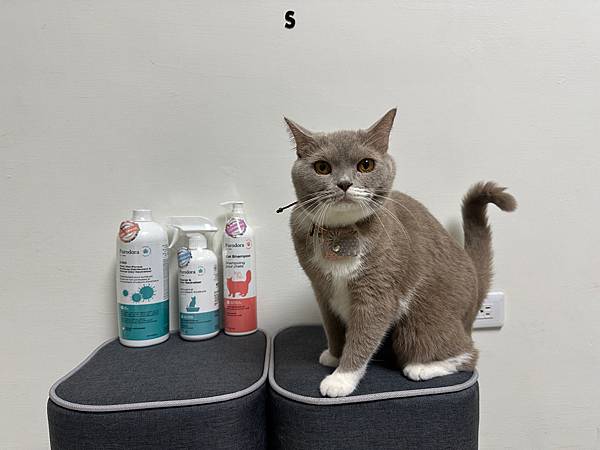 主子都想要的精緻生活！--Purodora純朵拉-來自加拿大