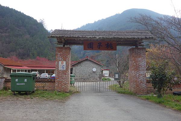 [賞櫻] 武陵農場櫻花季 - 台灣最美賞櫻勝地~國光客運武陵