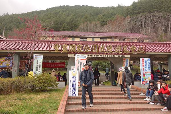 [賞櫻] 武陵農場櫻花季 - 台灣最美賞櫻勝地~國光客運武陵