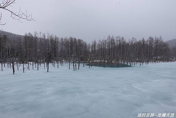 [北海道住宿] 美瑛 - 白金温泉郷 森の旅亭 びえい (森