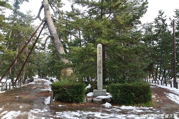 [海之京都] 日本三景之一【天橋立】自助旅行攻略~ 傘松公園