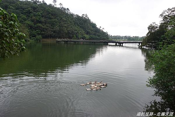 [宜蘭平價牛排] 龍潭 - 哥爸妻夫牛排館 ~ 充滿人情味的