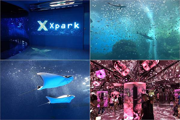 桃園,青埔,Xpark ,水族館,捷運,公園,動物園,桃園景點