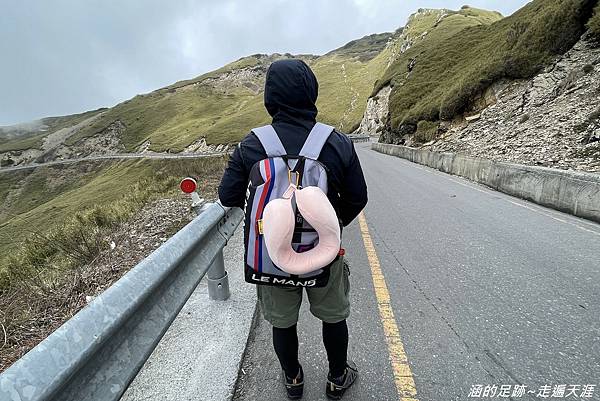 [旅行好物] 英國藍旅Travel Blue寧靜頸枕 ~ 陪