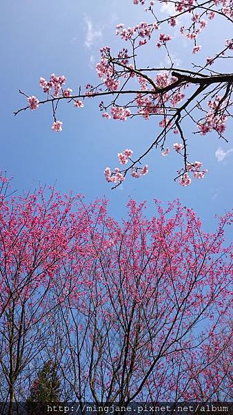 DSC_2100 DSC_2100