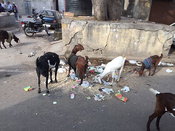 S__11345982.jpg S__11345982.jpg