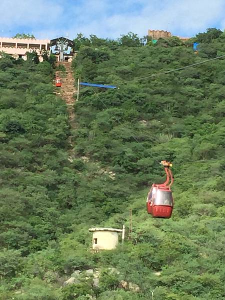 IMG_8752.JPG IMG_8752.JPG