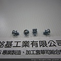 附華司螺絲SEMS 內梅花螺絲套附二片墊圈組合M4X8 TORX SCREWS WITH SPRING+FLAT WASHERS COMBINATIONS