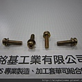 組合螺絲SEMS SCREWS 圓頭螺絲套附二片墊圈組合M5X20 PHILIPS HEAD SCREWS WITH SPRING+FLAT WASHERS ASSEMBLED