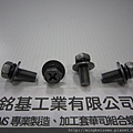 組合螺絲SEMS SCREWS 六角十字螺絲套附二片華司(墊圈)組合M8X20 HEX HEAD MACHINE BOLTS WITH SPRING+FLAT WASHERS COMBINATIONS