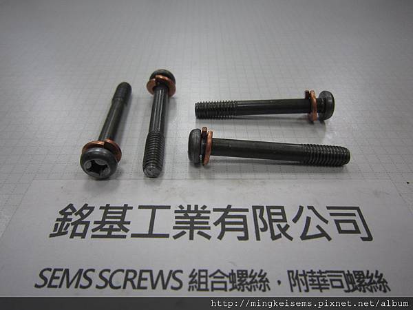 附華司螺絲SEMS SCREWS 圓頭十字半牙螺絲套附彈簧華司(墊圈)組合 M6X45 PAN HEAD SEMI-TOOTH SCREWS & SPRING WASHER ASSEMBLED