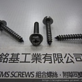 組合螺絲 SEMS SCREWS 六角十字鐵板牙螺絲套附平華司M6X37 HEX HEAD SELF TAPPING SCREWS & FLAT WASHERS ASSEMBLED