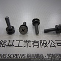 套華司螺絲 SEMS SCREWS 厚頭十字螺絲套附皿型華司組合M5X20 THICK HEAD SCREWS & CONICAL WASHER(DIN 6908)ASSEMBLED