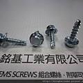 套華司螺絲 SEMS SCREWS 六角頭高低牙螺絲套附梅花皿型華司組合M6X25 HEX HEAD HIGH LOW THREAD SCREWS & SQUARE DONE WASHER ASSEMBLY