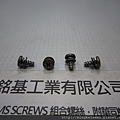 組合螺絲SEMS 白鐵厚頭十字自攻牙螺絲套附雙片華司組合M4X9 STAINLESS STEEL SELF TAPPING SCREWS WITH SPRING+FLAT WASHERS ASSESMBLED