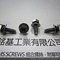 套華司螺絲 SEMS SCREWS 六角頭螺絲套彈箕華司和平華司組合M6X18 HEX HEAD SCREWS WITH SPRING+FLAT WASHERS ASSEMBLIES