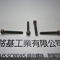 套華司螺絲 SEMS SCREWS 圓頭三角牙螺絲套彈簧華司(墊圈)組合M3.5X27 PAN HEAD TRILOBULAR THREAD SCREWS WITH SPRING WASHERS ASSEMBLED 