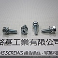 套華司螺絲 SEMS SCREWS 六角頭螺絲套彈簧華司和平華司組合M5X16 HEX HEAD SCREWS WITH SPRING+FLAT WASHERS ASSEMBLIES