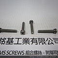 SEMS SCREWS 組合螺絲 白鐵圓頭螺絲套附彈簧華司組合M4X25 STAINLESS STEEL SEMS SCREWS WITH SPRING WASHERES ASSEMBLIES