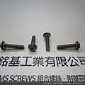 組合螺絲 SEMS SCREWS 圓華司頭螺絲套附彈簧華司組合M4X20 PAN WASHER HEAD SEMS SCREWS WITH SPRING WASHERS ASSEMBLY