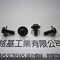 螺絲附華司 SEMS SCREWS 圓頭螺絲附平華司組合M5X14 PAN HEAD SEMS SCREWS WITH FLAT WASHERS ASSEMBLY