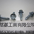 螺絲附華司 SEMS SCREWS 六角頭高低牙螺絲套梅花皿型華司組合M1/4X1" HEX HEAD HIGH LOW THREAD SCREWS WITH SQUARE DONE WASHERS ASSEMBLY 