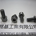 組合螺絲 SEMS SCREWS 有頭內六角孔螺絲套附平華司組合 M8X20 HEX SOCKET CAP SEMS SCREWS WITH FLAT WASHERS ASSEMBLED