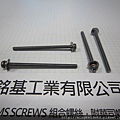 附華司螺絲 SEMS SCREWS 圓頭螺絲附彈簧華司和平華司組合 M3X50 PAN HEAD SEMS SCREWS WITH SPRING WASHERS + FLAT WASHERS ASSEMBLED