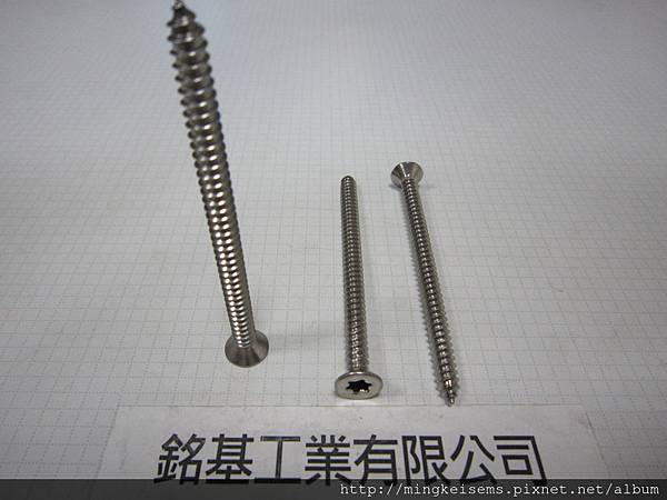 緊固件螺絲 FASTENER SCREWS 白鐵梅花孔皿頭自攻尖尾螺絲 M5.5X80 M/M STAINLESS STEEL TORX SELF TAPPING SCREWS