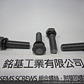 套華司螺絲 SEMS SCREWS 六角頭螺絲套彈簧華司組合 M8X30 HEX HEAD SEMS SCREWS WITH SPRING WASHERS ASSEMBLED