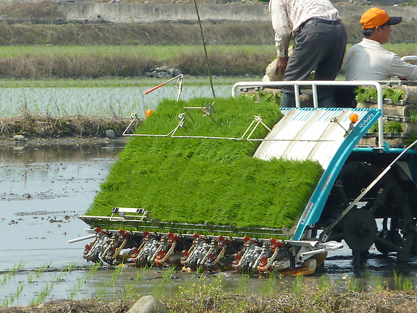 990304 052.jpg 990304 052.jpg