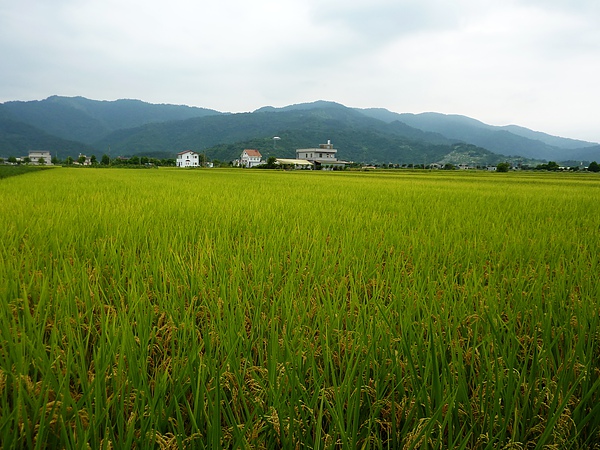 宜蘭旅遊‧崙埤戲水 062.jpg