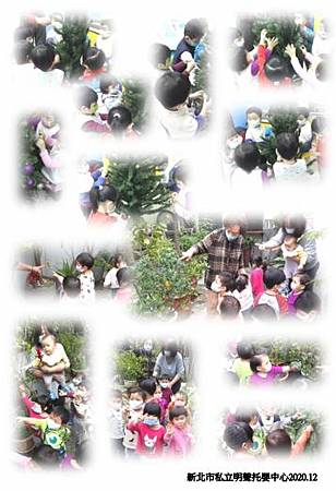 20201230樹.JPG 20201230樹.JPG