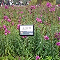 20110422760.JPG