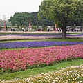 20110422773.JPG