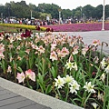 20110422792.JPG