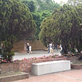 20110422830.JPG