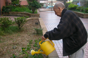 SANY0061.jpg SANY0061.jpg