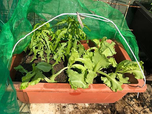 o38ef61aa2db77c179b3dec097f5db8a0_4620693218540202954_181015_0038.jpg o38ef61aa2db77c179b3dec097f5db8a0_4620693218540202954_181015_0038.jpg